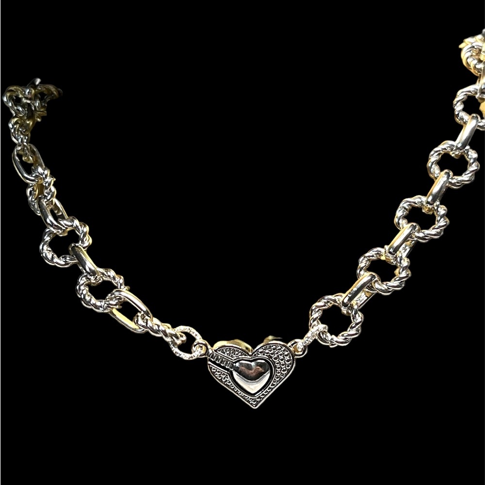 🌸🌟Silver heavy link collar choker